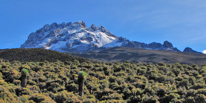 kilimanjaro climbing