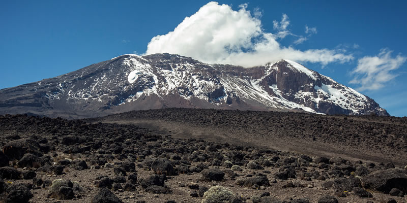 kilimanjaro